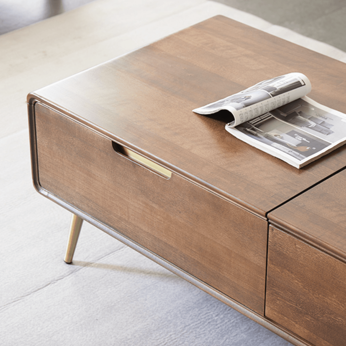 Vlade Coffee Table with Storage