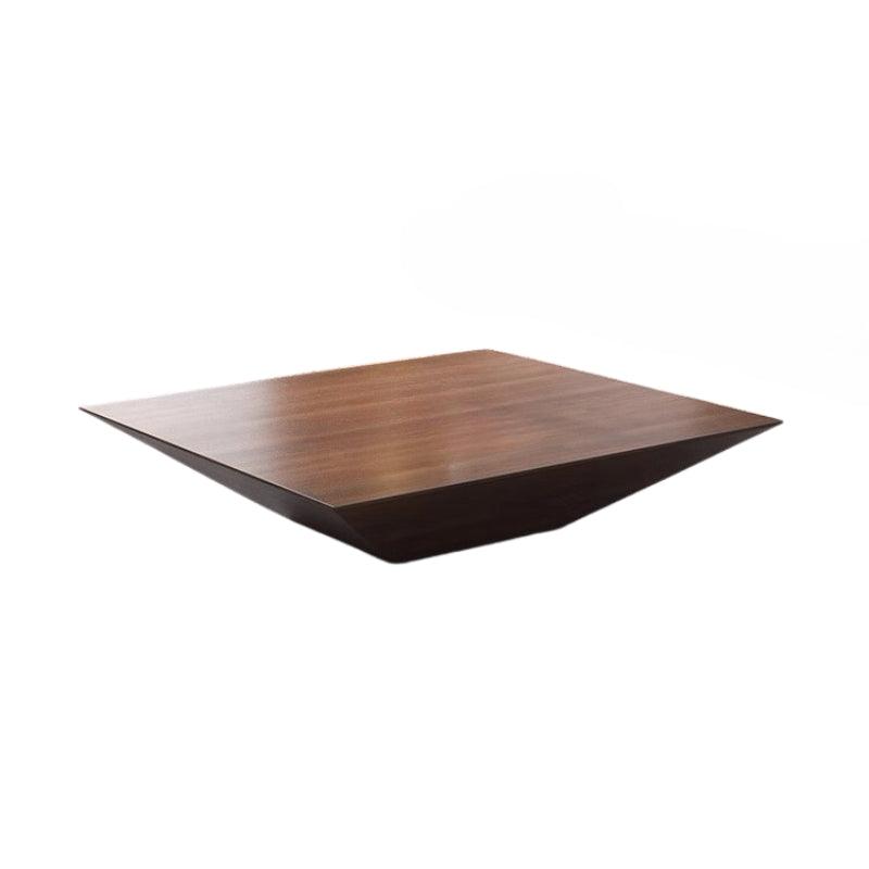 Aniko Designer Coffee Table with Storage