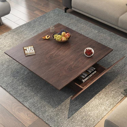 Aniko Designer Coffee Table with Storage