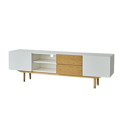 Beatrix Modern TV Stand