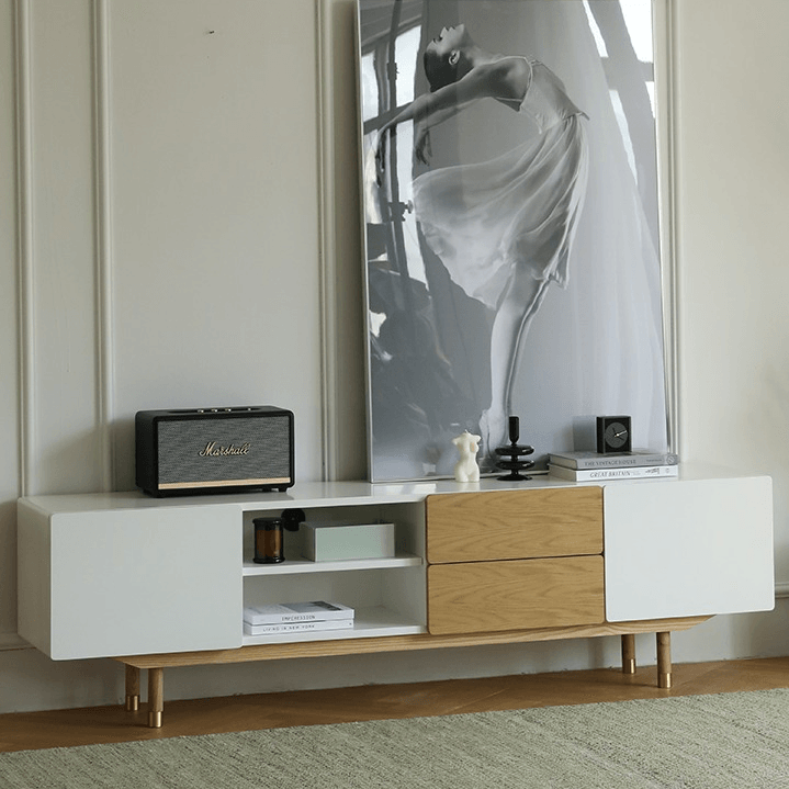 Beatrix Modern TV Stand