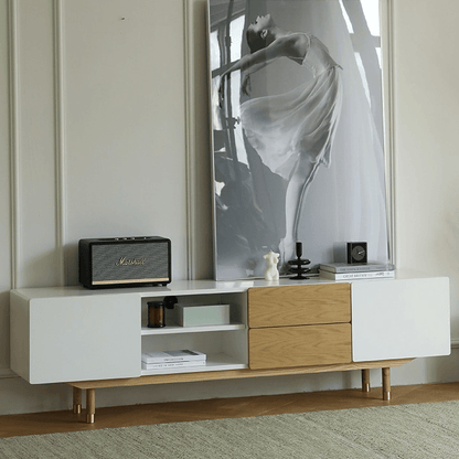 Beatrix Modern TV Stand