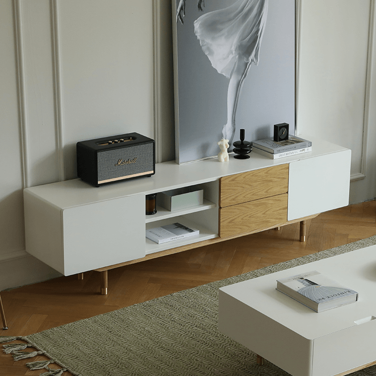 Beatrix Modern TV Stand