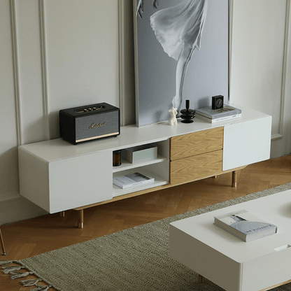 Beatrix Modern TV Stand