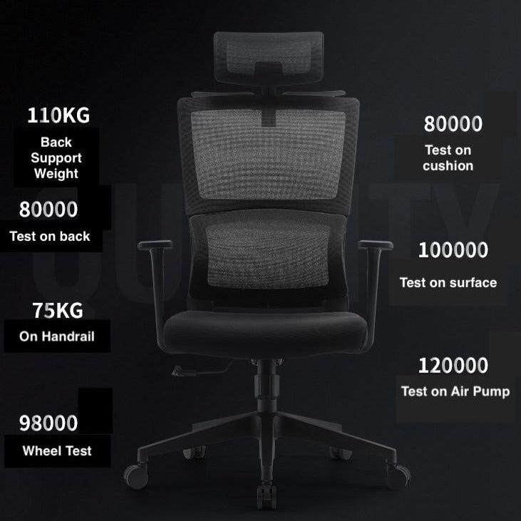 Ergonomic Office Chair