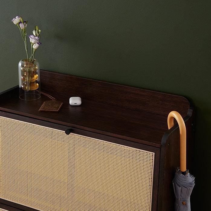 Francesco Shoe Storage Cabinet