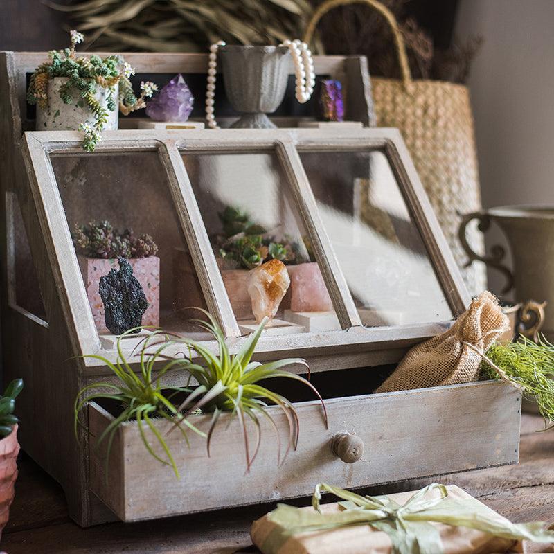 Franciszek Vintage Display Box