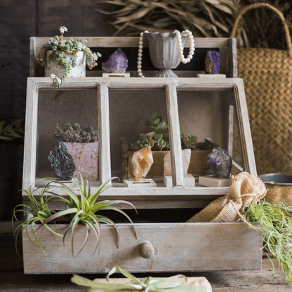 Franciszek Vintage Display Box