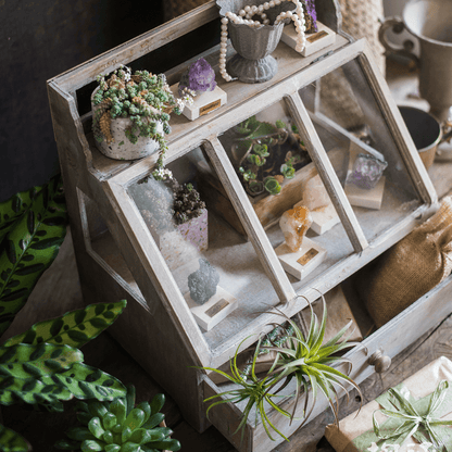 Franciszek Vintage Display Box