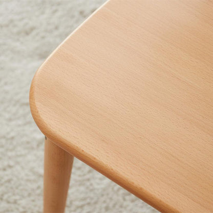 Leone Modern Dining Chair