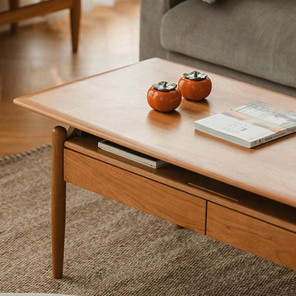 Lidiya Multifunctional Coffee Table