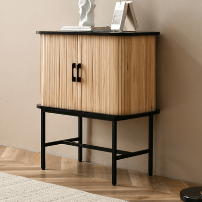 Oceana 2 Door Wood Cabinet