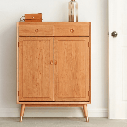 Yelyzaveta Shoe Cabinet