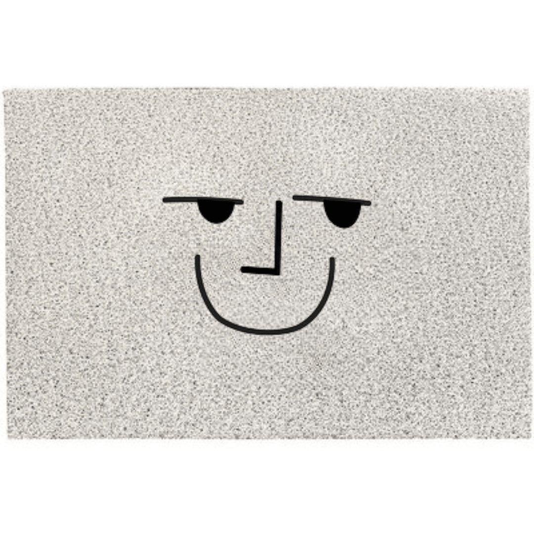 Zoya Non-Slip Door Mat